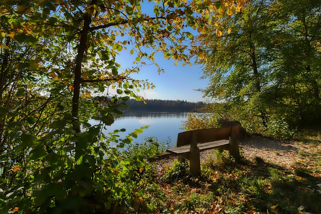 为全球经济 为全球经济