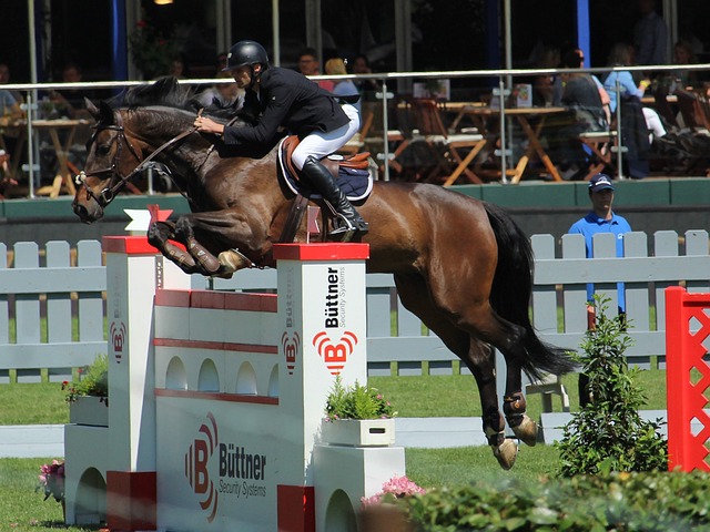 作为拉齐奥 作为拉齐奥