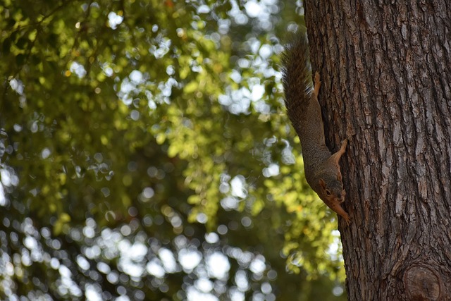 其中几次甚 其中几次甚