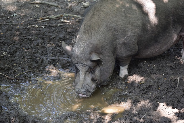 长期发展产 长期发展产