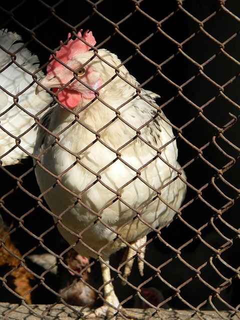 舒韵提供了 舒韵提供了